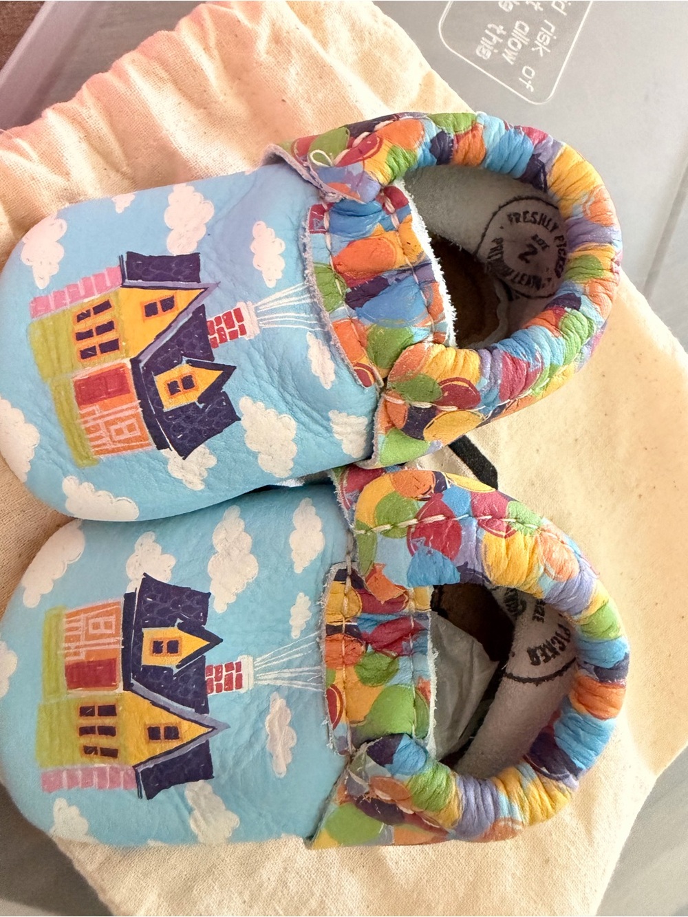 Freshly Picked Disney Up Moccasins